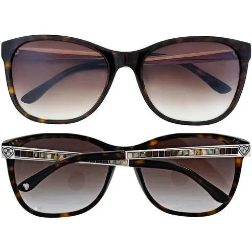 Brighton | Spectrum Sunglasses in Tortoise